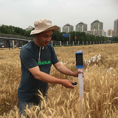 小麦株高丈量仪 小麦株高丈量仪