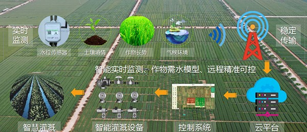 大红鹰娱乐官网：：：以现代种业尺度，，，助力制种大县建设任...