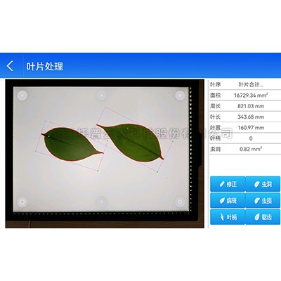 智能叶面积丈量仪