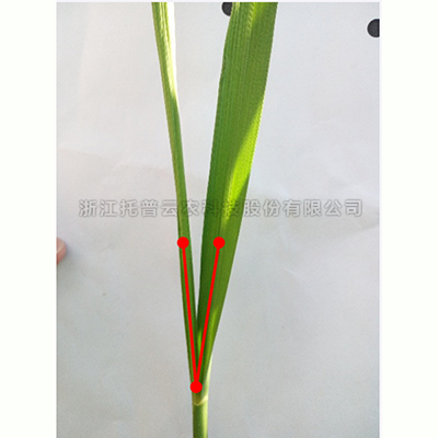 大红鹰dhy(中国)欢迎光临-首页