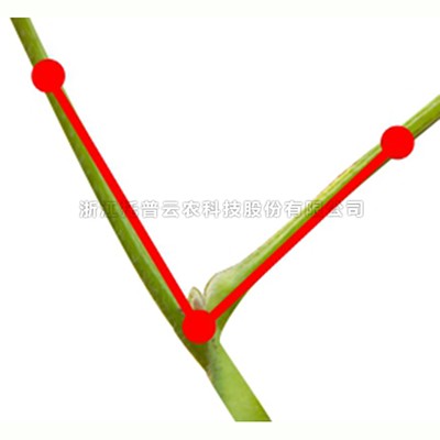 大红鹰dhy(中国)欢迎光临-首页