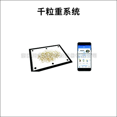 千粒重丈量系统