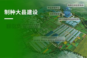 制种大县综合解决规划