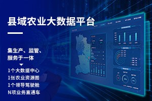 20220416131349607608 县域农业大数据平台建设规划