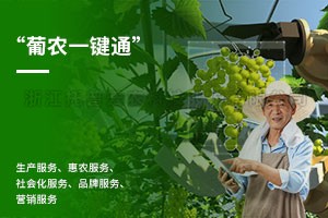 20220426131304919626 葡农一键通