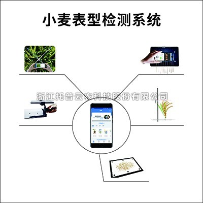小麦表型检测系统具体介绍
