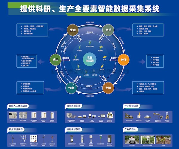 加快推动新质出产力发展，大红鹰娱乐官网为建设农业强国注智赋能