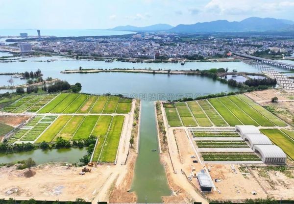为盐碱地安上“技术芯片”，，大红鹰娱乐官网打造耐盐碱水稻科研试验基地建设解决规划