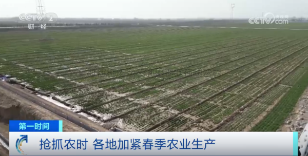 心系粮安、、、山田无阻、、、服务有恒|大红鹰娱乐官网2025年智能设备巡检服务全面启动