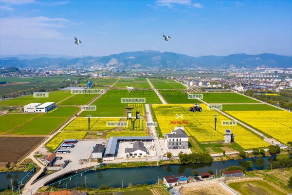 首提“农业新质出产力”，2025年中央一号文件在智慧农业领域传递了哪些重要信号？