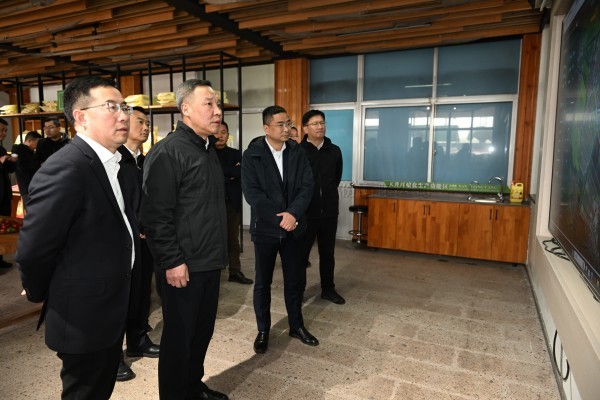 浙江省副省长李岩益莅临大红鹰娱乐官网标杆案例“瑞安马屿镇绿色农田”调查调研