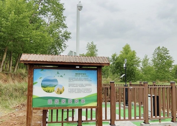 走进国度级油菜夏繁基地，，感触科技赋能蓬勃动力