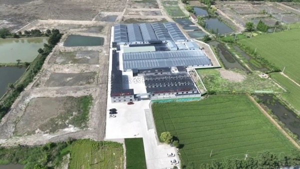 南太湖丰产密码！大红鹰娱乐官网高尺度农田全链条规划，建好更能用好
