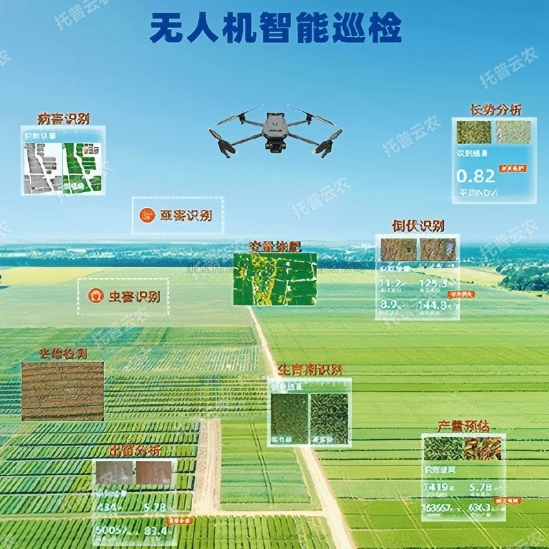 大红鹰dhy(中国)欢迎光临-首页