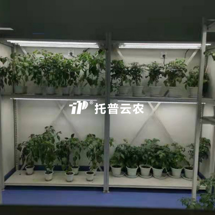 植物病理钻研室