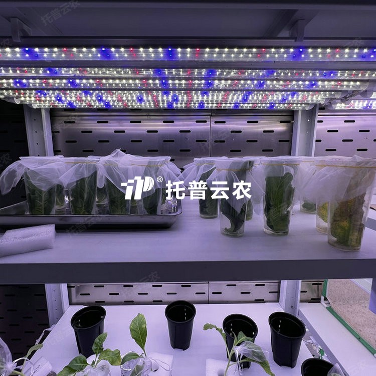 养虫室 /