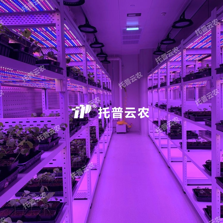造就架型人为气象室介绍|造就架型人为气象室主题亮点有哪些？？？