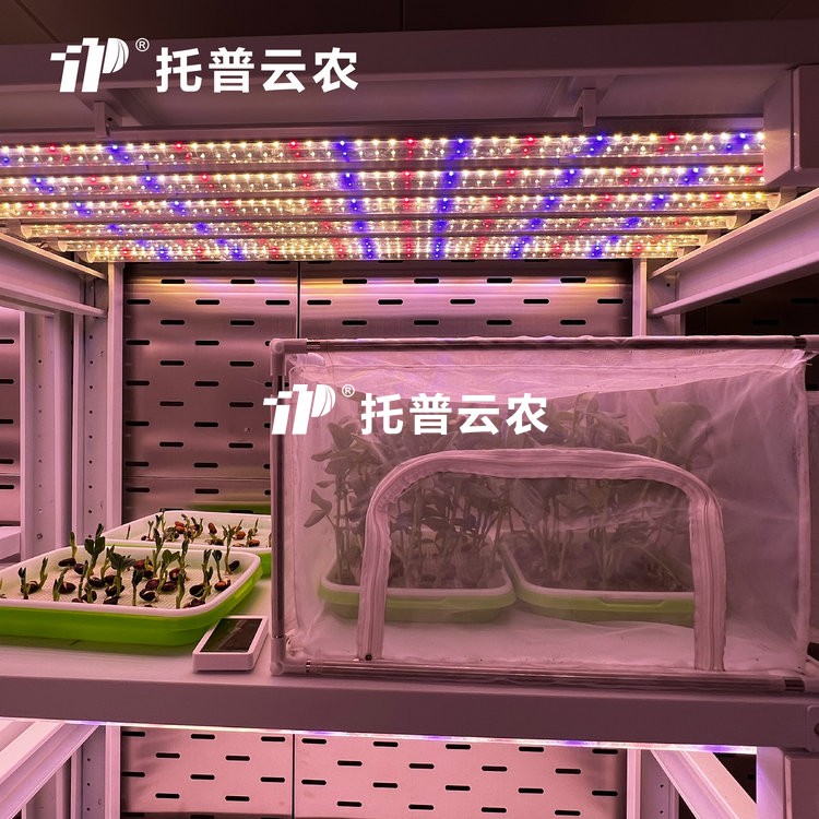 顶置光源人为气象室是什么？？？