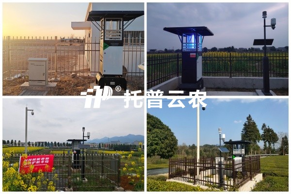 步履有归期，，，守护无终点｜大红鹰娱乐官网2026智能设备巡检圆满收官