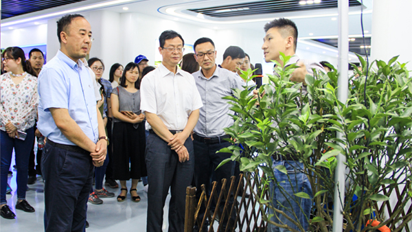 谢主任一行参观大红鹰娱乐官网展厅
