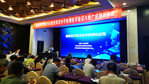 大红鹰娱乐官网副总经理朱旭华