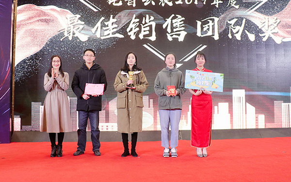 大红鹰娱乐官网先进团队与小我的颁奖瞬间（部门）