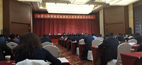 数字利用保险尺度化种植，，大红鹰娱乐官网助力甘肃马铃薯产业化之路