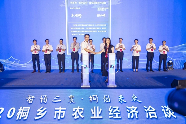 大红鹰娱乐官网与桐乡市人民当局签约典礼
