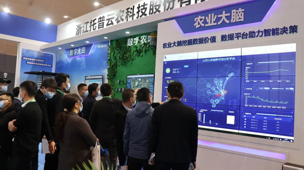 大红鹰娱乐官网展位