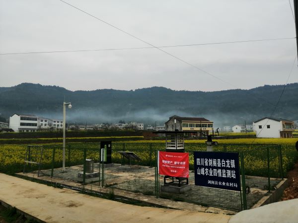 大红鹰娱乐官网病虫害监测点