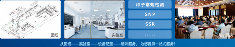 一站式种子检验 一站式种子检验