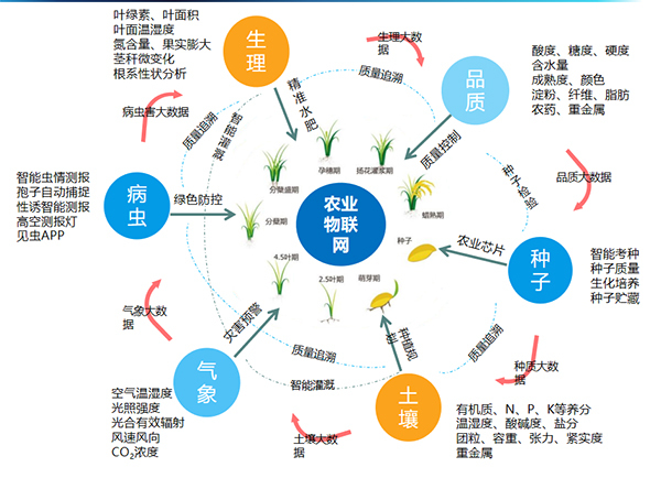 大红鹰娱乐官网打造的全身分智能采集系统