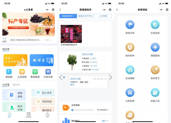 “e兰茗果”小法式部门界面