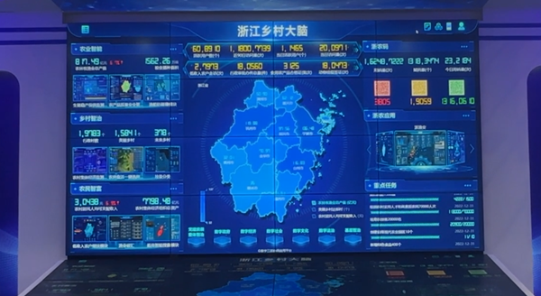 浙江村落大脑_副本.png