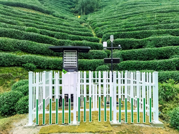 西湖茶园形象监测(1)_副本.jpg