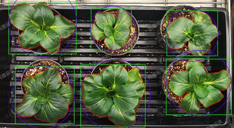 1772702682463497.jpg 表型分析-环控型植物成长表型分析系统.jpg